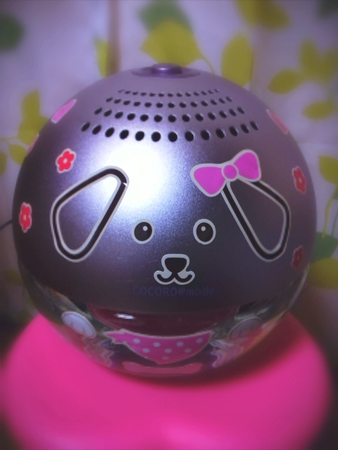 a0032004_155505.jpg
