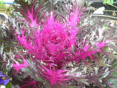 f0035506_7475195.jpg