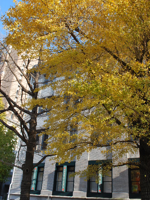  三井物産横浜支店（明治モダン建築再訪）_f0142606_1726167.jpg
