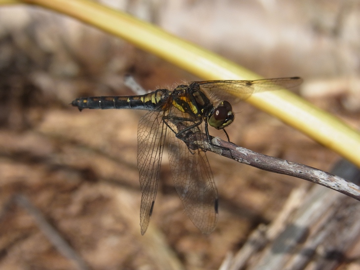 b0137208_042463.jpg