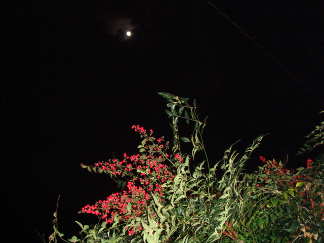 d0237309_22505379.jpg
