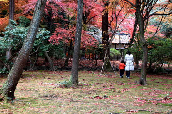 上賀茂神社　紅葉終幕_e0048413_15562144.jpg