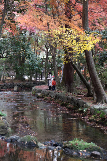 上賀茂神社　紅葉終幕_e0048413_1556949.jpg