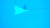 f0110213_23231469.jpg