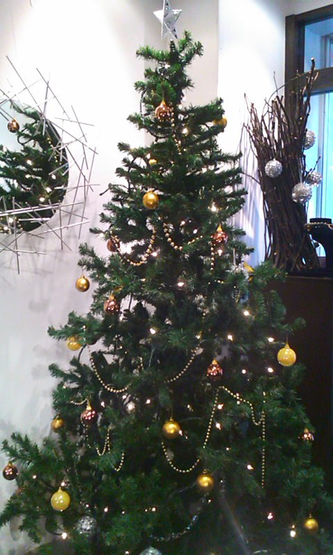もうすぐ Christmas!!_b0115615_1705852.jpg
