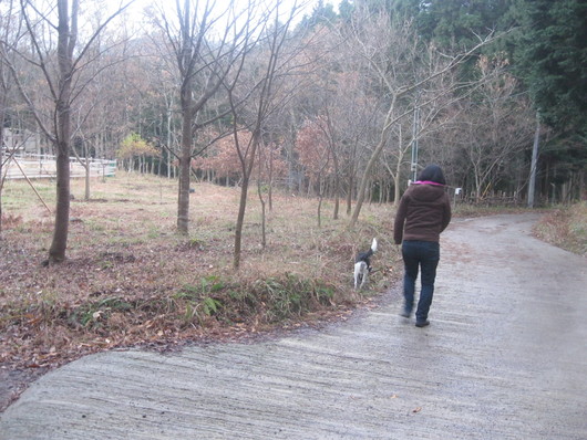 里親への旅~~☆_a0125419_10232140.jpg