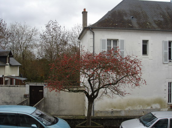 c0124619_7484924.jpg