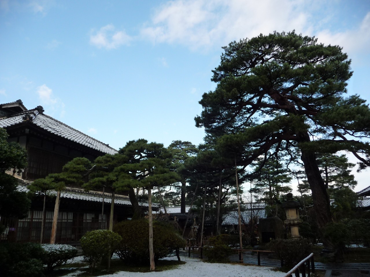 ~ うっすら雪化粧 ~_e0135219_16442627.jpg
