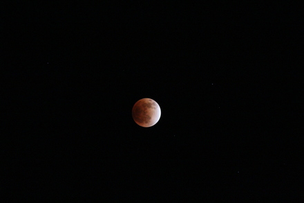 b0069720_23502240.jpg
