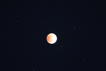 b0069720_23504591.jpg