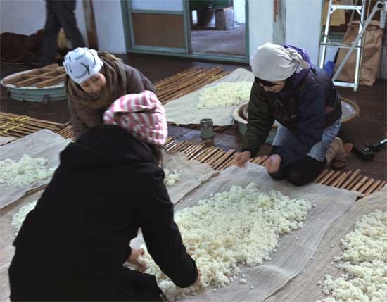 d0161221_11256.jpg