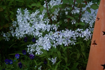 f0170524_914084.jpg