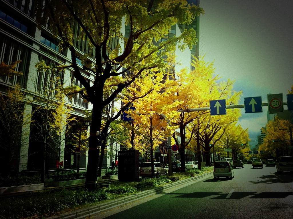c0188525_7173630.jpg