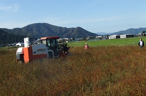 そばオーナーの収穫_e0061225_1021892.jpg