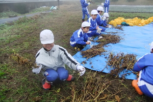北新庄小学校の子供たちと大豆の収穫をしました。_e0061225_9522742.jpg