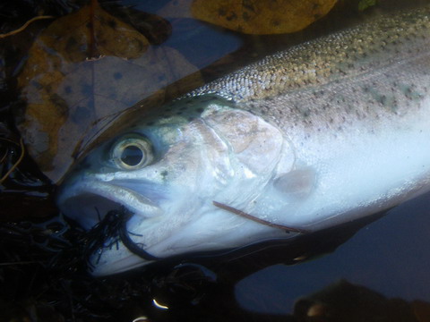 c0202727_22205655.jpg