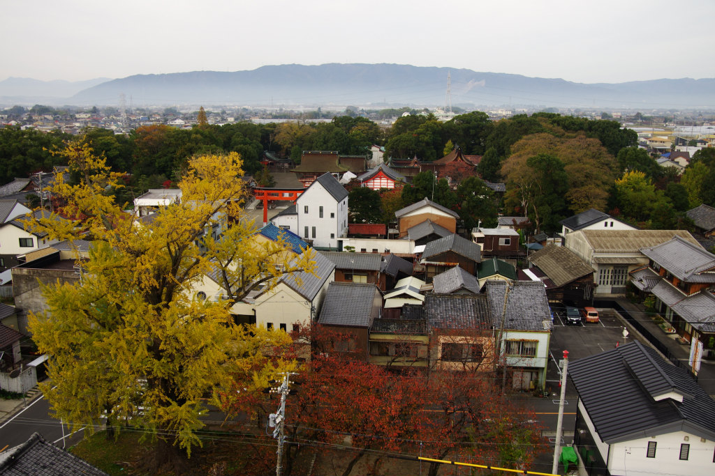 d0250028_16255512.jpg