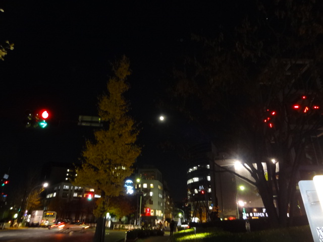 e0016828_149358.jpg