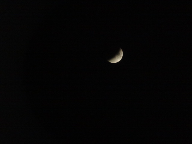 e0016828_22314763.jpg