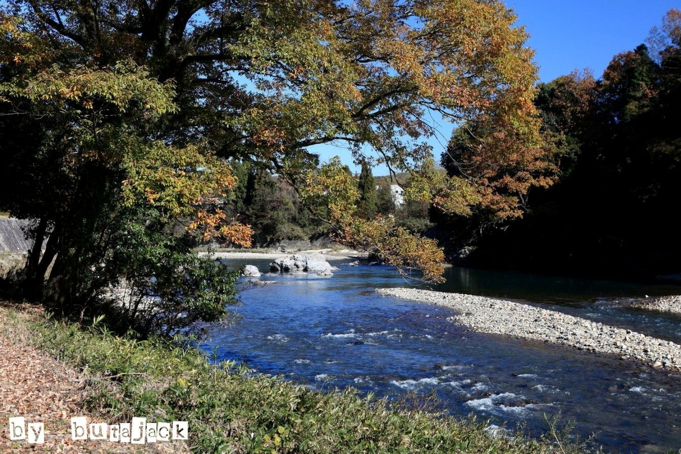 多治見市『永保寺』の紅葉・・・ラスト_e0220828_1943052.jpg