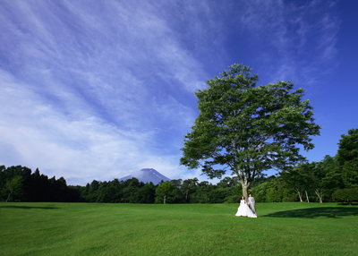 結婚式前撮り写真　静岡　★緑のウェディングフォト★_a0174233_15312019.jpg