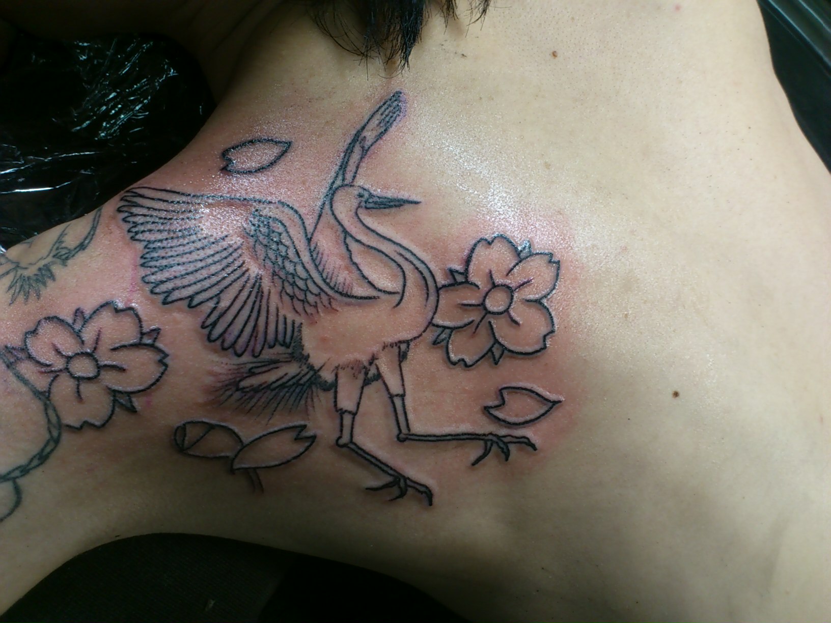 Tattoo 白鷺 竜 兵庫 姫路 刺青部屋 Prick Room Tattoo