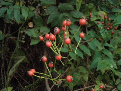 a0054240_21234895.jpg