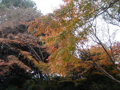 a0054240_21375796.jpg