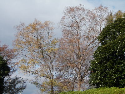 a0054240_2139850.jpg