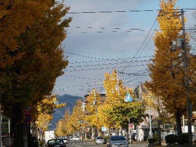 a0054240_21405566.jpg