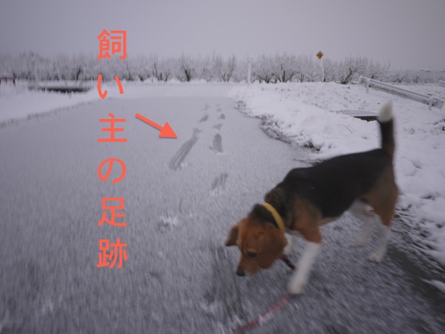 農道には雪_c0190940_8271964.jpg