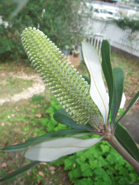 b0215345_22393527.jpg