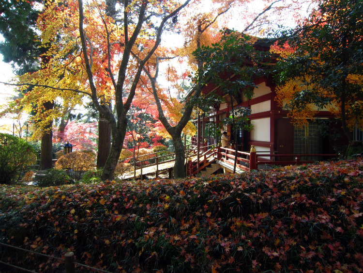 世界遺産「平泉」中尊寺４　＠岩手県_f0048546_736289.jpg