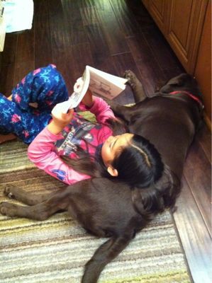 犬枕 波乱万丈 南加州育児生活 犬枕 波乱万丈 南加州育児生活
