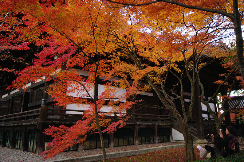 f0152550_221383.jpg