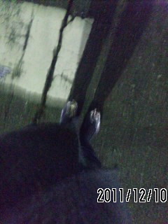 f0087256_0325528.jpg