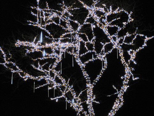 f0236260_023448.jpg