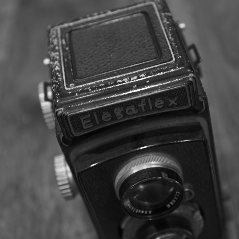 d0186361_21535989.jpg