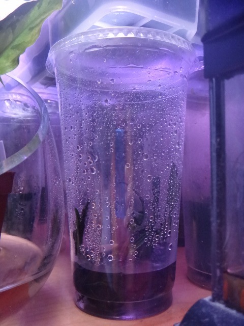 c0225669_22472324.jpg