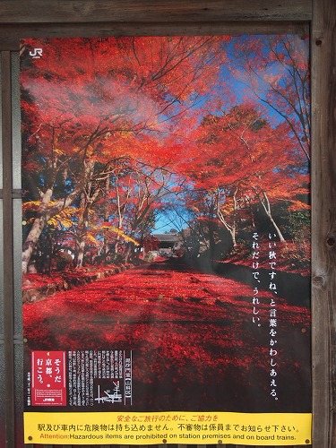 毘沙門堂（京都・山科）～その4～_f0234172_10572566.jpg
