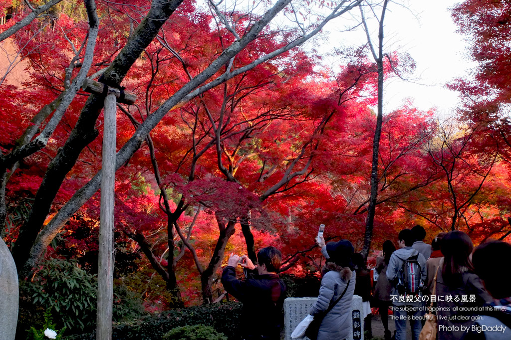 京都散策2_b0240479_2352227.jpg