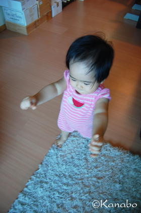 a0168980_1531610.jpg