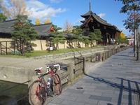 和歌山-奈良-京都-大阪，紅葉を求めて_e0201281_195568.jpg