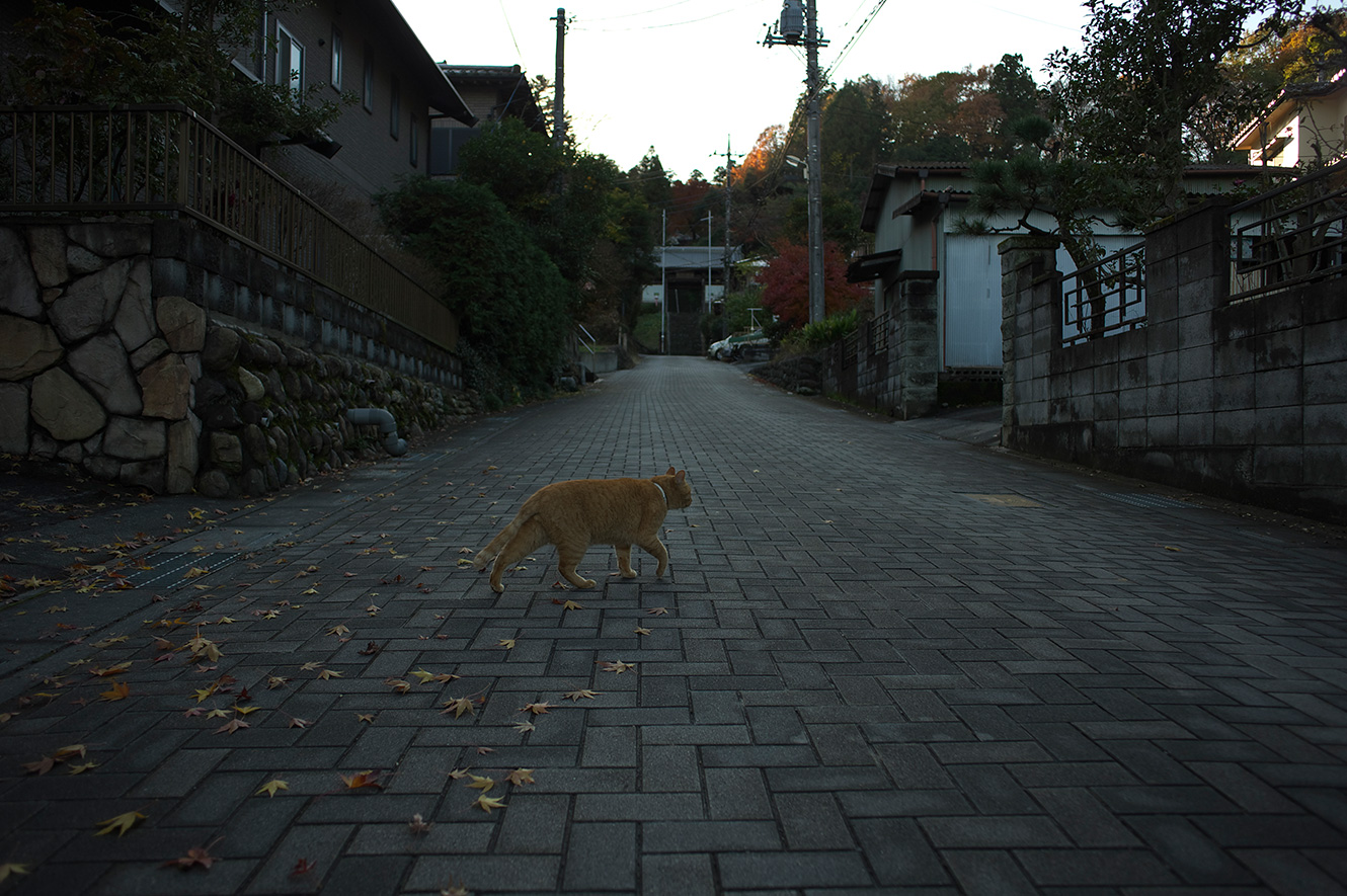 f0121181_056143.jpg