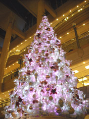 かたろぐじゃぱん 2011 『Christmas Tree in JAPAN★☆ 』_c0063182_12104141.jpg