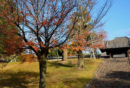 奈良公園　東大寺裏側の紅葉　①_c0229483_1852268.jpg