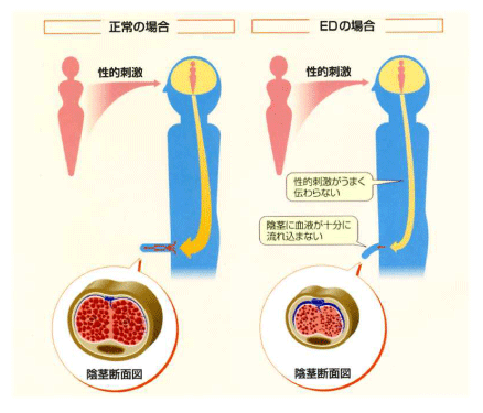 自信をなくしたお父さんたちへ!_a0221584_14165173.gif
