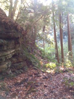 **紅葉を見に…**_d0147488_21343271.jpg