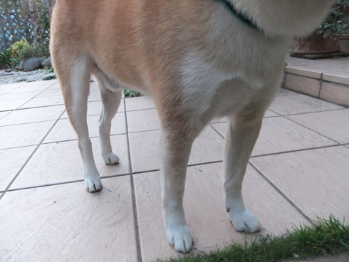 b0230589_02790.jpg
