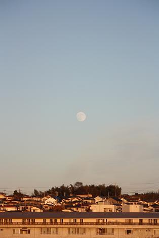 d0145794_18335670.jpg
